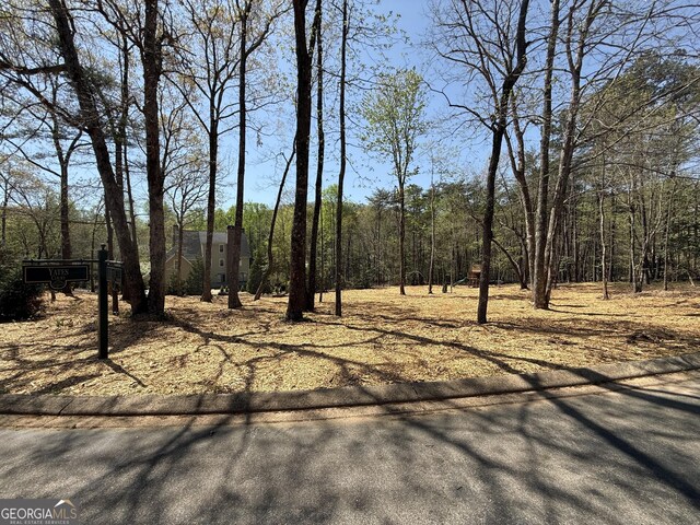 0 Yates Ct, Clarkesville, GA 30523