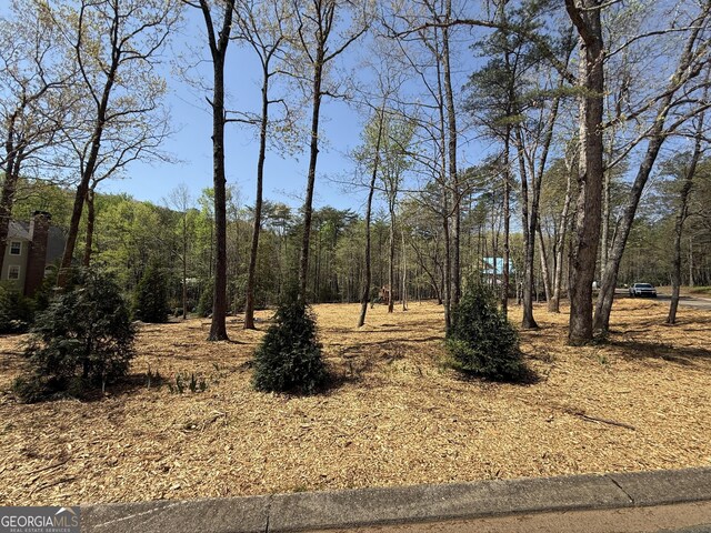 0 Yates Ct, Clarkesville, GA 30523