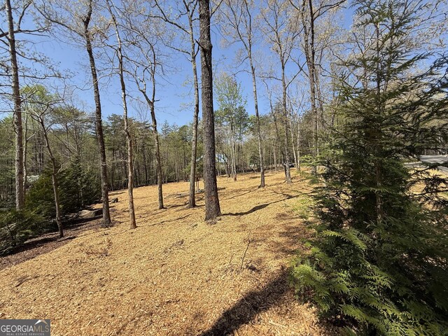 0 Yates Ct, Clarkesville, GA 30523