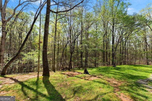 view of yard featuring a wooded view