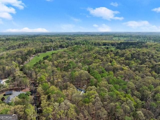 aerial view of a forest