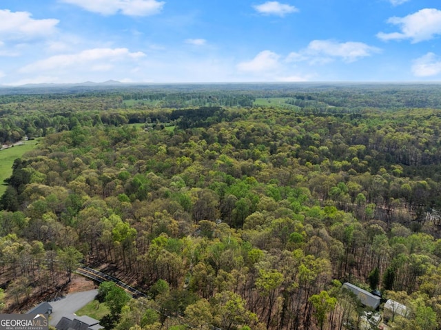 bird's eye view of a heavily wooded area
