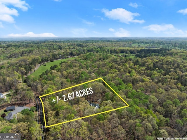 aerial overview of property's location with a forest and property boundaries highlighted