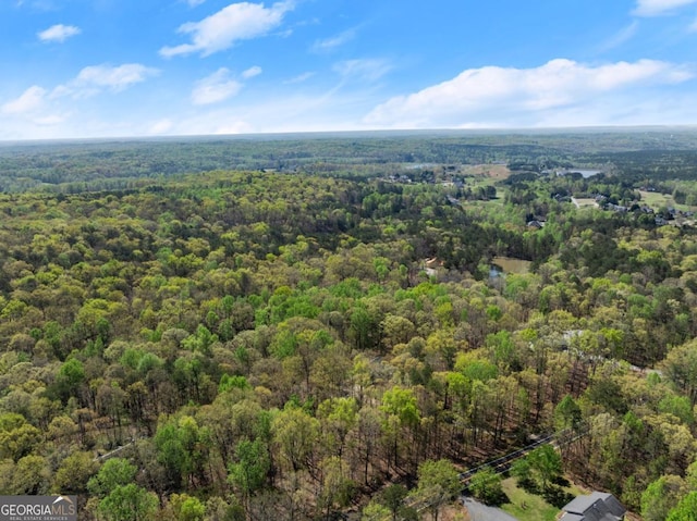 aerial view of a forest
