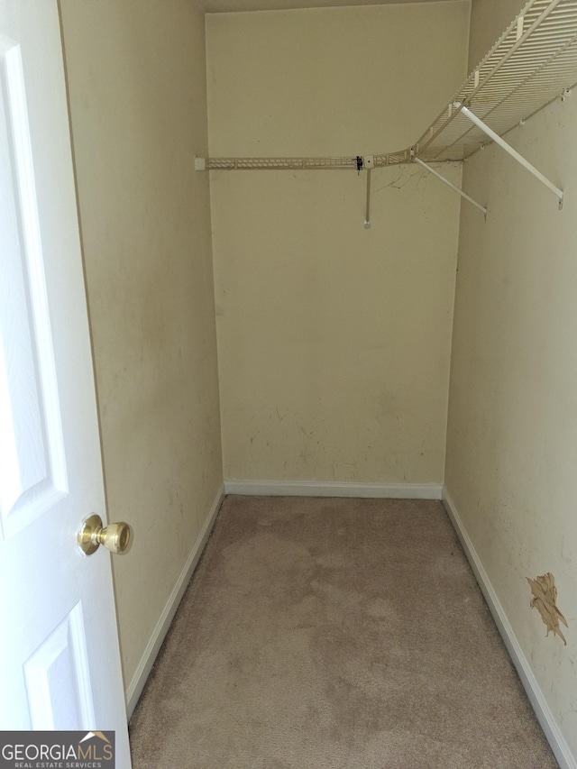 172 Willow Springs Ln, Stockbridge, GA 30281 - walk in closet featuring light colored carpet