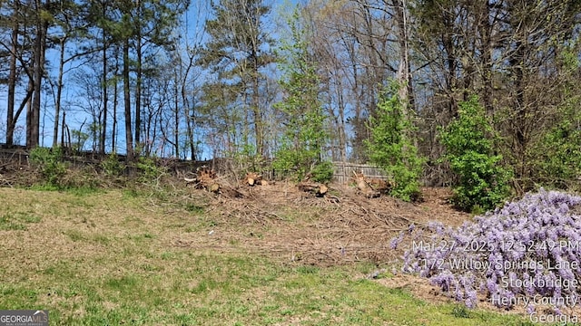 172 Willow Springs Ln, Stockbridge, GA 30281 - view of nature