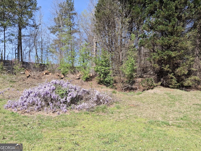172 Willow Springs Ln, Stockbridge, GA 30281 - view of green lawn