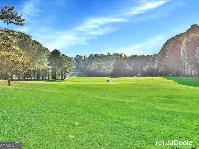surrounding community with a yard