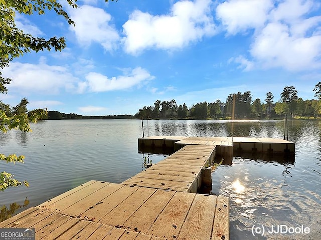 dock area with a water view