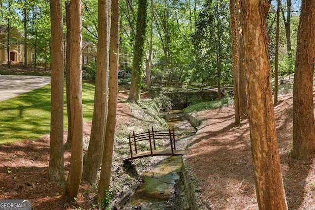 view of undeveloped land