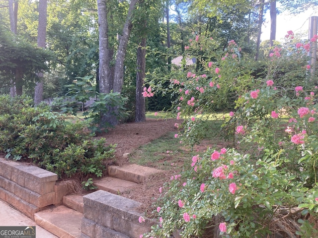 863 Fairwood Pointe NW, Acworth, GA 30101 - view of yard