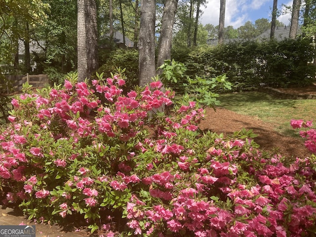 863 Fairwood Pointe NW, Acworth, GA 30101 - view of yard with fence