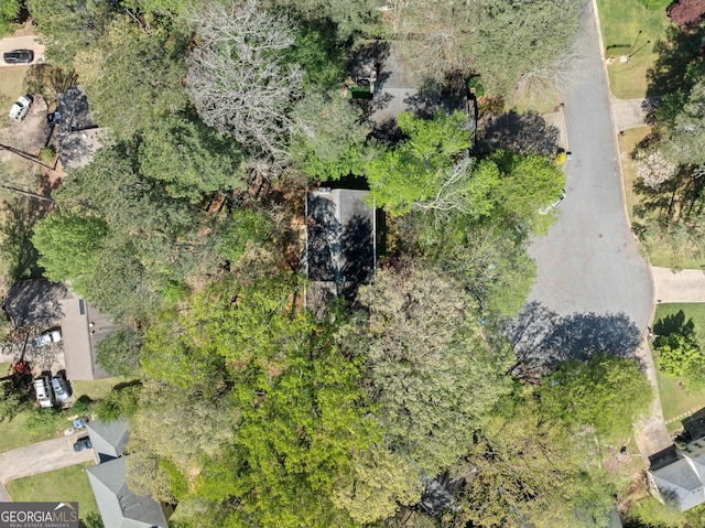 985 Lake Haven Ct, Roswell, GA 30076 - bird's eye view