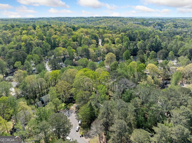 985 Lake Haven Ct, Roswell, GA 30076 - bird's eye view featuring a wooded view