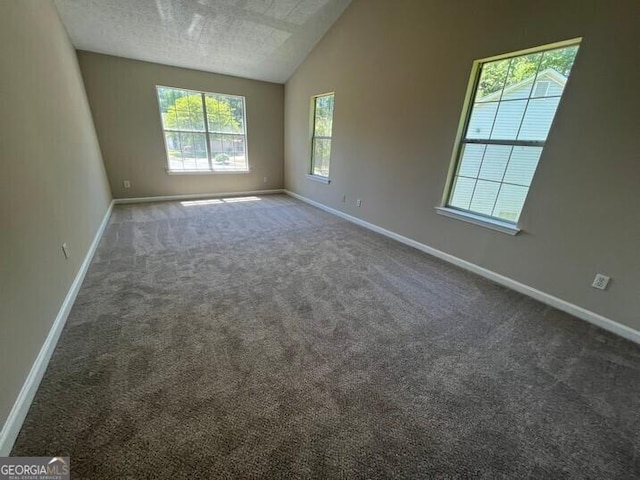 spare room featuring baseboards, lofted ceiling, and carpet