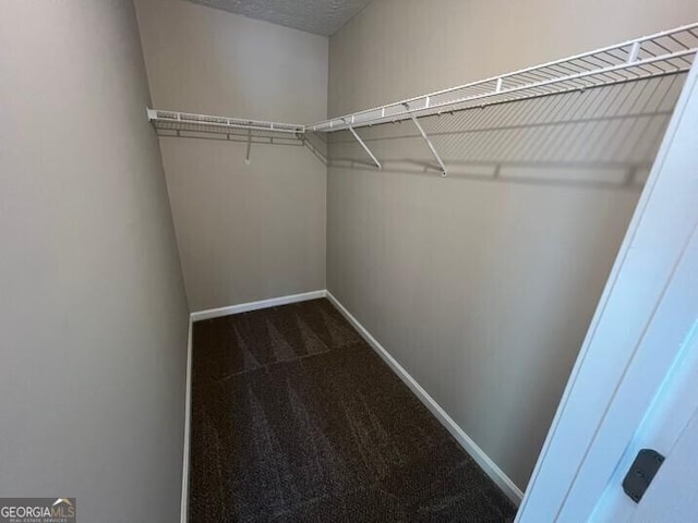 spacious closet with dark colored carpet