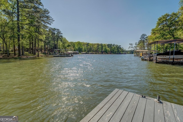 dock area with a water view