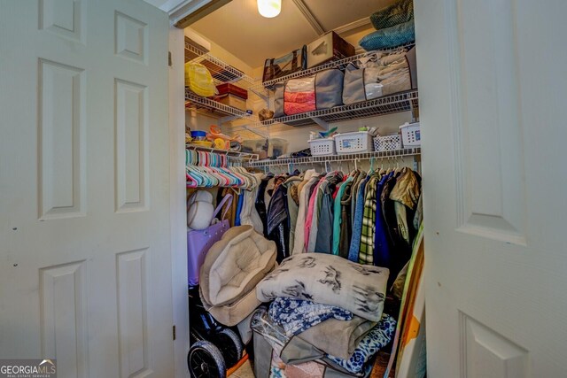 view of walk in closet