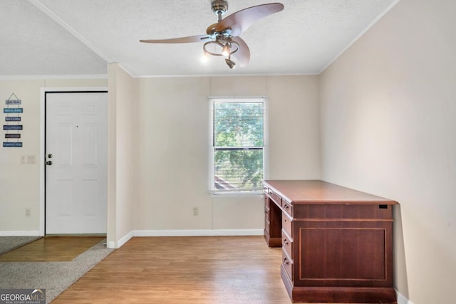 188 Paramount Dr, Eatonton, GA 31024 - foyer featuring light wood-type flooring, a ceiling fan, crown molding, and a textured ceiling