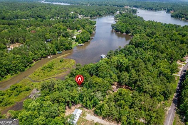 188 Paramount Dr, Eatonton, GA 31024 - birds eye view of property with a water view and a forest view