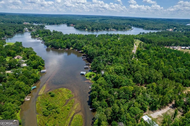 188 Paramount Dr, Eatonton, GA 31024 - drone / aerial view featuring a wooded view and a water view