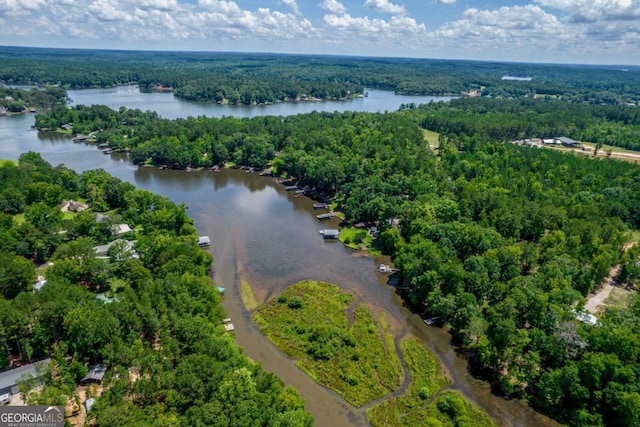 188 Paramount Dr, Eatonton, GA 31024 - bird's eye view with a forest view and a water view