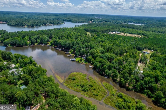 188 Paramount Dr, Eatonton, GA 31024 - drone / aerial view with a wooded view and a water view