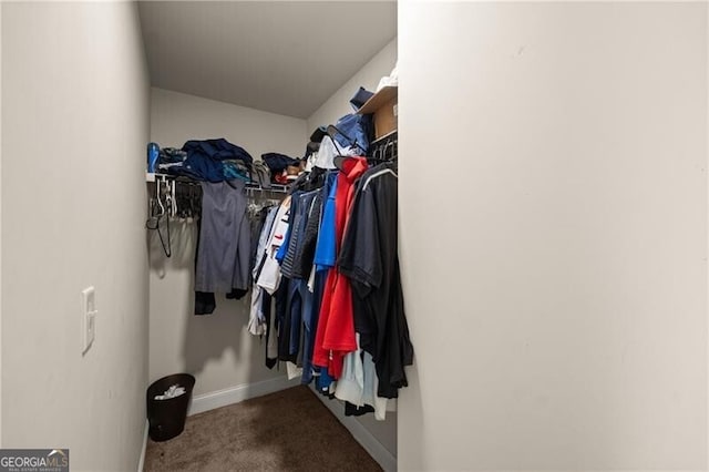 4735 Belcrest Way, Cumming, GA 30040 - walk in closet featuring carpet flooring