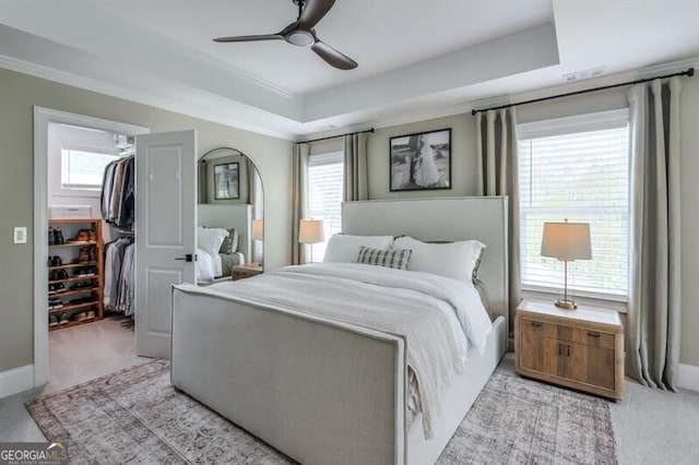 412 Nickajack Retreat Ln, Smyrna, GA 30082 - bedroom with a spacious closet, a tray ceiling, a ceiling fan, a closet, and light colored carpet