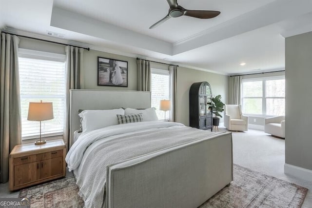 412 Nickajack Retreat Ln, Smyrna, GA 30082 - bedroom featuring ornamental molding, carpet, a raised ceiling, and multiple windows