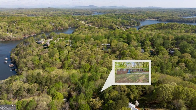 bird's eye view with a wooded view and a water view