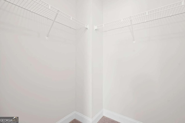 walk in closet featuring carpet