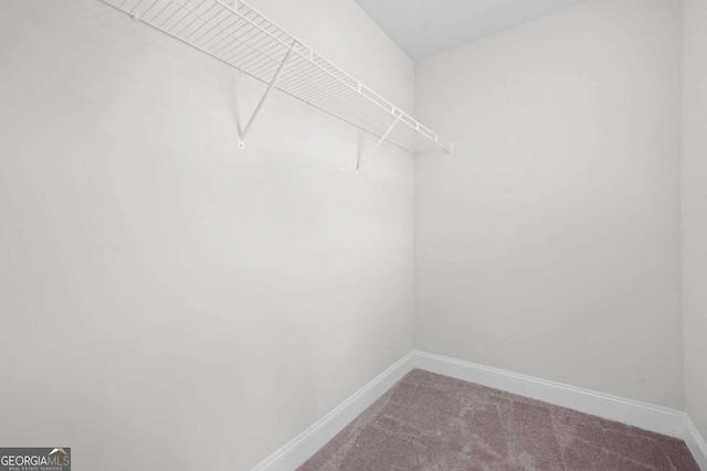 walk in closet with carpet