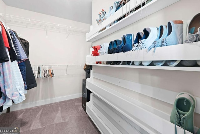 walk in closet featuring carpet flooring