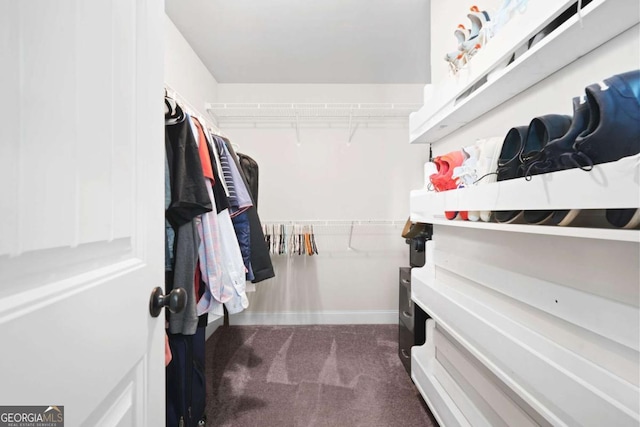 walk in closet featuring dark colored carpet