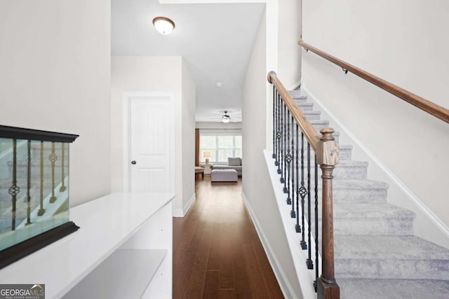 staircase featuring baseboards, a ceiling fan, and wood finished floors
