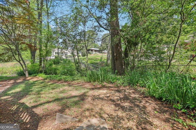 952 Columbia Dr, Decatur, GA 30030 - view of yard