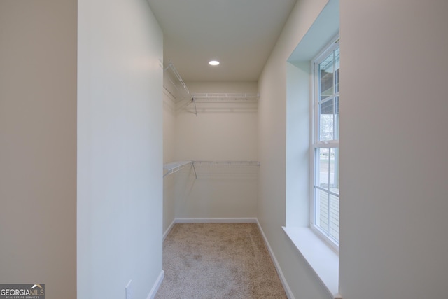 spacious closet featuring carpet