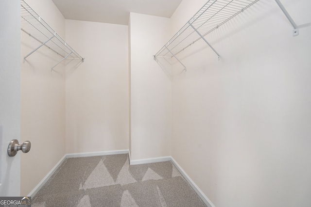 walk in closet with light colored carpet