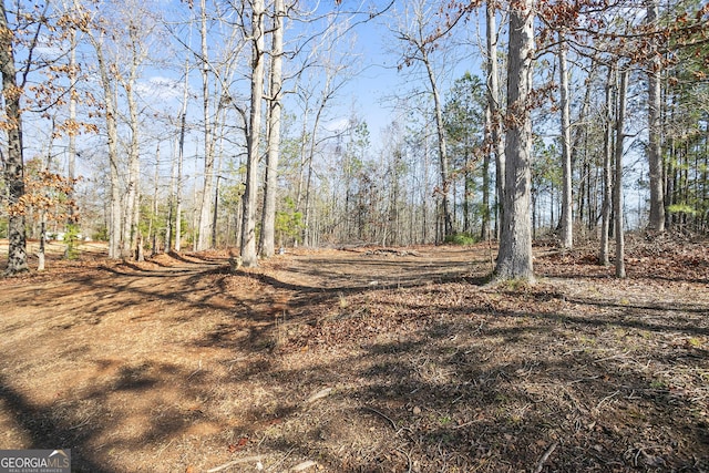 45 Hunters Ridge Ct, Covington, GA 30014 - view of local wilderness