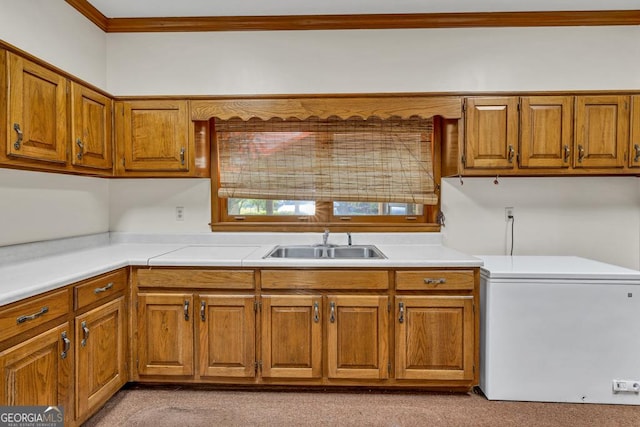 kitchen featuring a sink, white refrigerator, brown cabinetry, ornamental molding, and light countertops