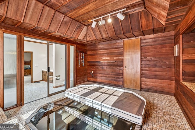 unfurnished sunroom with rail lighting and lofted ceiling