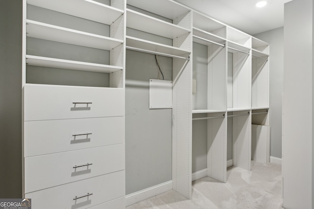 spacious closet with carpet