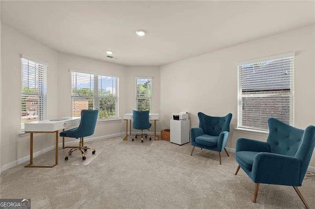 office area with baseboards and carpet