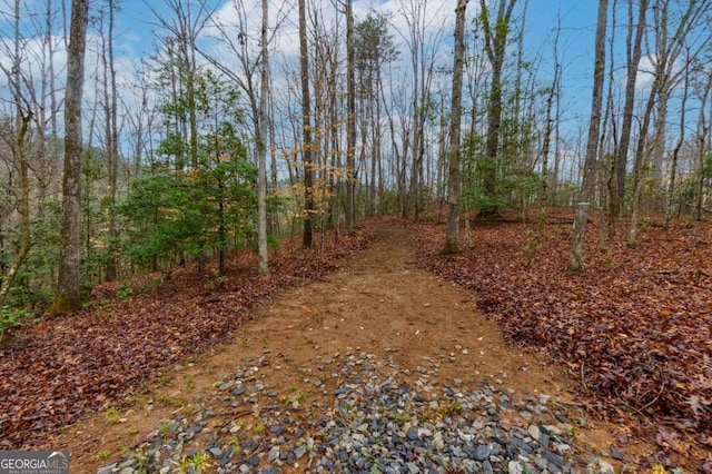 0 Still Rd, Dahlonega, GA 30533
