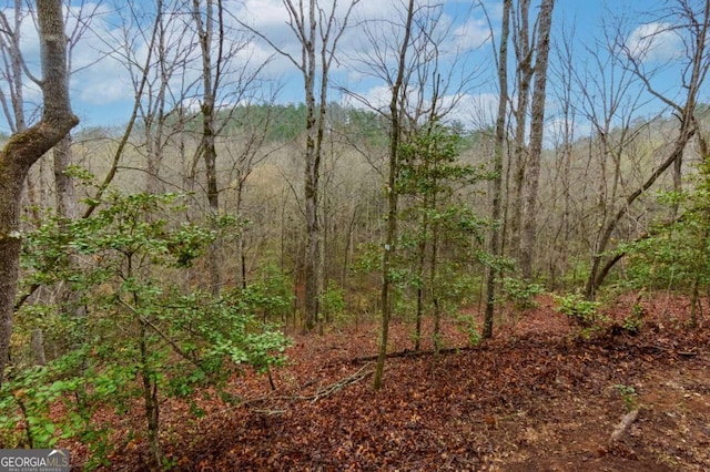 0 Still Rd, Dahlonega, GA 30533
