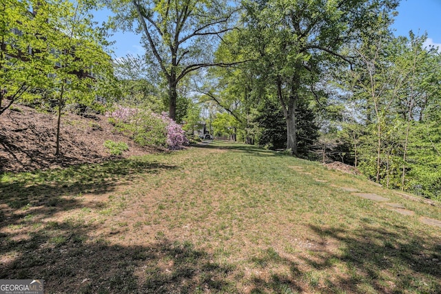 view of yard