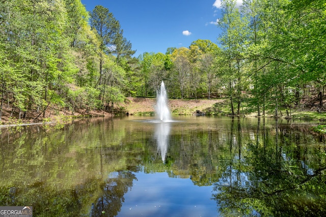 view of water feature featuring a wooded view