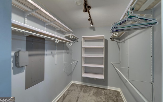 186 Foxdale Dr, Toccoa, GA 30577 - walk in closet with carpet floors and electric panel