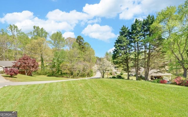 186 Foxdale Dr, Toccoa, GA 30577 - view of yard